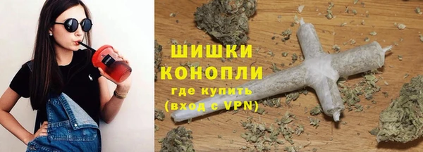 прущие крисы Алзамай
